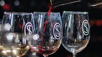 Sensory Wine Tasting Experience at Viñedos San Lucas
