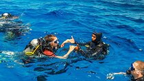 Fethiye Scuba Diving with Transfer, 2 Dives and Lunch