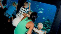 Hurghada Sea Scope Cruise with Snorkeling Experience