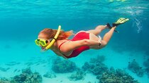 Tiran Island Full Day Boat Trip With Lunch from Sharm El Sheikh