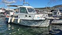 Half Day Private Fishing Activity Porto Rafti Athens Markopoulo