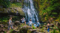 Private Ohana Kohala Waterfalls Adventure 