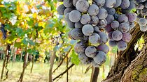 Craftsmanship and Flavors of Sorrento and Amalfi Coast