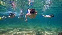 Private Arch and Snorkeling Tour in Cabo San Lucas with Photos