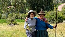 Discover the secrets of Andean nature in Pisac