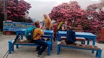 Private 4 Day Poon Hill Trek from Pokhara