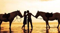 2 Hour -Horse Riding Adventure in Hurghada Through Desert & Sea