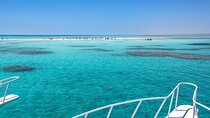 Diving Day in White Island and Ras Mohamed