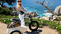 Monterey Bay Famous Dog Friendly Electric Bike and Sidecar Tour
