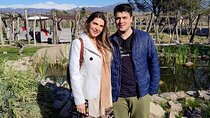 Wineries to Luján de Cuyo! Semi-private tours 