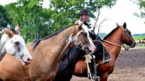 Gaucho Day Trip from Buenos Aires: Santa Susana Ranch