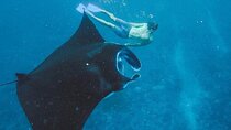 From Bali: Nusa Penida Snorkeling and Island Tour