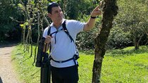 Combo 3 Best Tours In La Fortuna