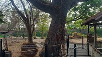  Killing Field and Genocide Museum S21 Tour
