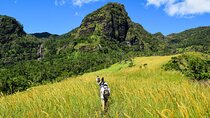 Koroyanitu National Heritage Park Fiji - Hike - Waterfall 