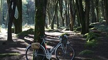 Monsanto Vintage Bike Tour