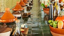 Ecological cooking class & swimming pool