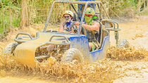 Buggy Ride Into the jungle with cave coffee & chocolate tasting