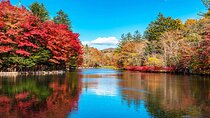 Karuizawa, Kawagoe and Hashino Resort Shrine Day Tour from Tokyo