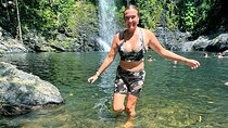 Daintree Waters Tour