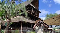 Vulture Experience with 4x4 Safari Drive