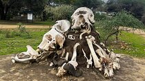 3Day Culture & Wildlife Safari: Tarangire,Ngorongoro & Lake Eyasi