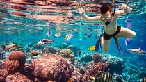 Hamata and Qulaan Islands Snorkeling Trip with Lunch - Marsa Alam