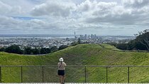 Half-Day Volcano Tour from Auckland