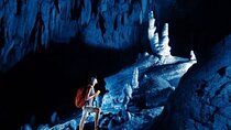 Best of Fiji Tours: 3 Days Package