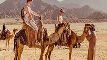 Beduin Village super safari quad with dinner&show from Marsa Alam