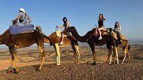 Agafay Desert Tour show,dinner with Camel Ride or Quad biking