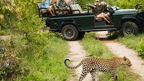 Kruger National Park 4 Day Private Safari from Johannesburg 