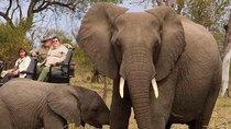 3 Day Kruger National Park Safari from Johannesburg & Pretoria