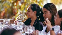 Tour and Wine Tasting in Cuna de Tierra