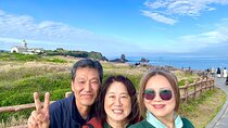 Round Trip Private Transportation to Seopjikoji