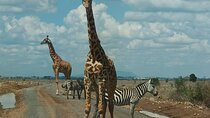 Nairobi National Park, Karen Blixen, Beads Center &Cultural dance