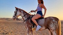 2 Hours Horse Riding along Hurghada's Beach and Desert.