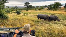 2Days Solio Ranch Luxury Safari on 4x4 Land Cruiser Jeep