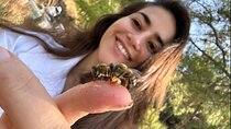 Beekeeping experience " Areti Honey " 