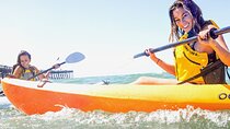 Kayak Tour and Rental