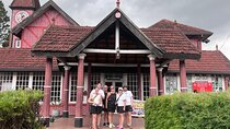Scenic Road Trip to Ella from Kandy (Group)