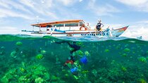 Private Day Trip Tour To Secret Gilis