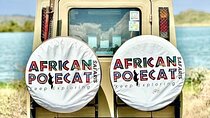 5-Days Private Budget Safari: Tarangire, Serengeti & Ngorongoro 