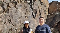 Day Trip to Tanbaly Petroglyphs