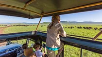 8-Day 7Nights Serengeti Experience Safari Adventure