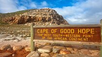 Full day Cape Point Cape of Good Hope with Penguins Tour