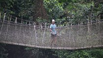 Kakum National Park and Cape Coast Castle Day Tour