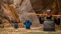 Zion Full Day Private Tour & Hike