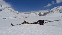 7 Days ABC Trek with Chitwan Safari Tour