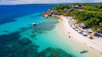 Cebu Whaleshark Watching w/ Sumilon Island Hopping